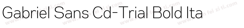Gabriel Sans Cd-Trial Bold Italic字体转换
